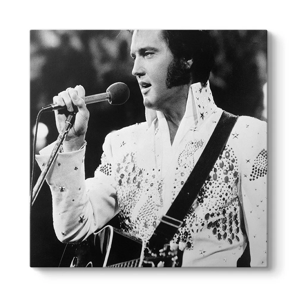 Elvis Presley - My Way Tablosu - Model 3